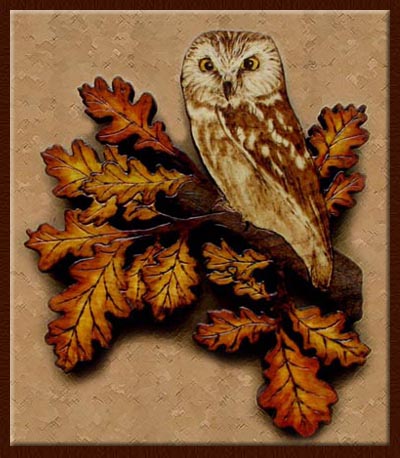 saw-wet owl tanja sova pyrography